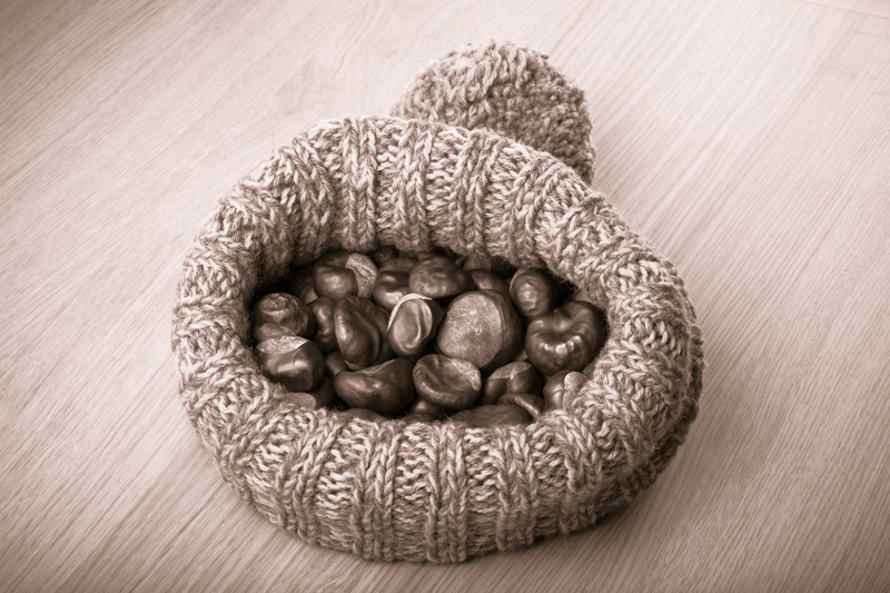 Master the Art of Plant Pot Disposal